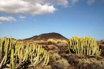 El paisaje volcánico de la reserva natural especial de  Malpaís de La Rasca junto al faro de...