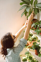 Young female gardener in glasses reach the leaf of plant indoor.