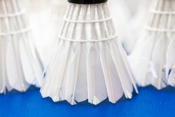 Fototapeta na wymiar Feather shuttlecock for badminton rackets . Goose Feather for sport 