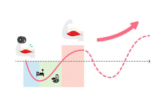 Graph illustration of efficient muscle growth (supercompensation mechanism) | no text