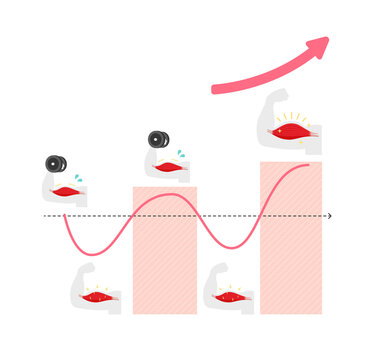 Graph illustration of efficient muscle growth (supercompensation mechanism) | no text