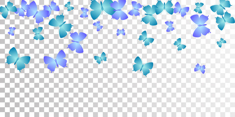 Magic blue butterflies flying vector wallpaper. Spring beautiful moths. Simple butterflies flying dreamy illustration. Delicate wings insects graphic design. Tropical beings.