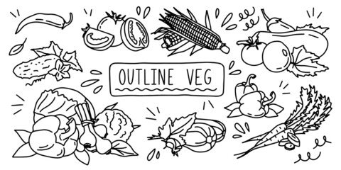 Variable fresh food healthy vegetables. Outline veg doodle hand drawing icon line sketch