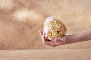 Natural sea sponge with foam on brown background