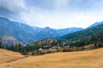 View of meadow of Shahgarh, surrounded by Deodar Tree and Himalayas mountains in Sainj Valley, Great Himalayan National Park, Himachal Pradesh, India