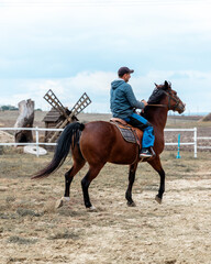 Back and side view portrait of rider riding bay horse on countryside background with old ancient...