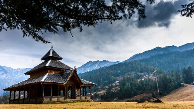 View of green meadow of Shahgarh, surrounded by Deodar Tree in Himalayas, Sainj Valley, Great Himalayan National Park, Himachal Pradesh, India