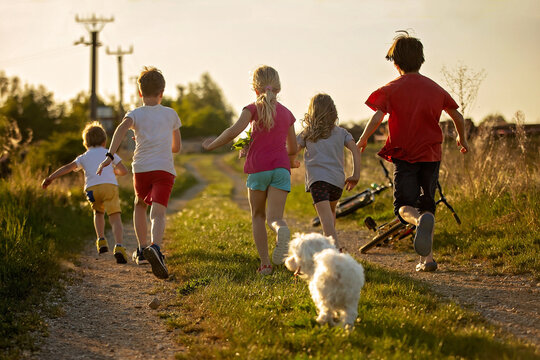 Happy group of children and pet dog, maltese breed, running in the park on sunset, carefree childhood