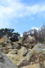 arrangement of stone and bamboo fence