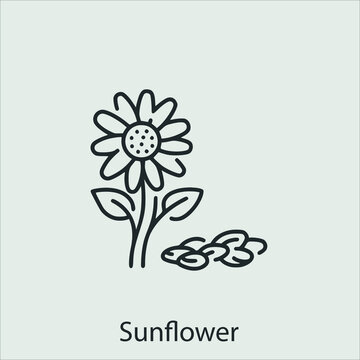 sunflower icon vector icon.Editable stroke.linear style sign for use web design and mobile apps,logo.Symbol illustration.Pixel vector graphics - Vector