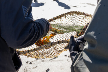 Amber workers finders sort out their prey in a cage on the beach on the Baltic Sea coast in Baltiysk, Kalinigrad region, Russia.