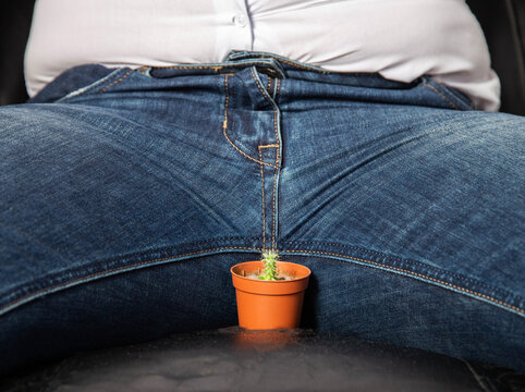 A man sits on a chair near the groin is a small cactus. The concept of male problems, a small penis, hormones and dysfunction in the genital area. Circumcision