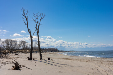 Sandy beach on the cold Baltic Sea. A clear sunny day with a blue sky with clouds in Baltiysk, Kalinigrad region, Russia.