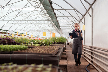 young woman with pink hair working in big professional greenhouse and writing notes in tablet