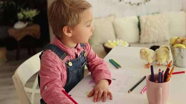 Cute boy, child in red shirt, drawing picture for Mothers day, little chicks on the table playing