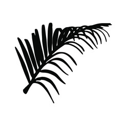 Palm tree branch isolated on white background. Vector illustration.