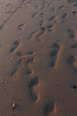 Fototapeta na wymiar Fußabdrücke im Sand an einem Sandstrand 