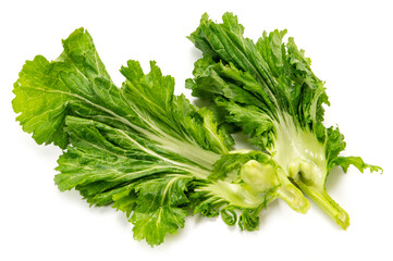 伝統野菜の播州こぶな