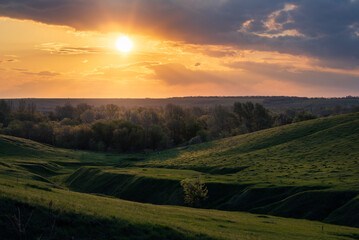 spring evening in nature