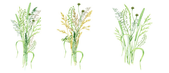 Fototapeta na wymiar Watercolor wild meadow grass bouquet, green herbal composition illustration, cereal wild plants, floral hand drawn spring summer natural herbs isolated on white background