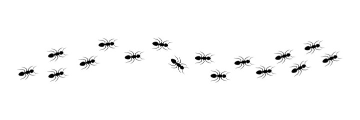 Ant trail silhouette. Line of working ants set. Black insect colony. Vector illustration isolated on white.