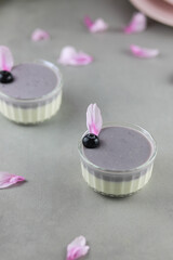 Homemade Italian dessert panna cotta with blue berries on gray background. 