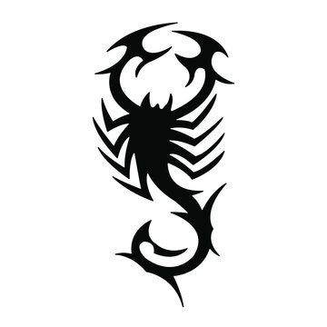 skorpion tattoo on white background