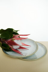 dishes