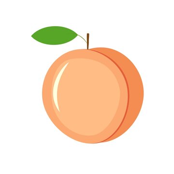 Vector illustration of ripe pink peach on stem with leaf. Healthy diet summer fruits vitamins. Icon sticker design element