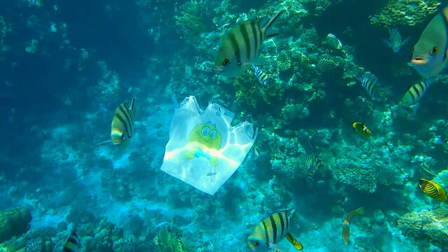 Plastic shoping bag drifting underwater near beautiful coral reef with tropical fish swimming around it. Plastic garbage environmental pollution problem. (4K - 60fps)