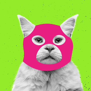 Creative portrait of cute cat wearing drawn balaclava isolated on bright neon background. Inspirative art, pets, animal, humor and fashion concept.