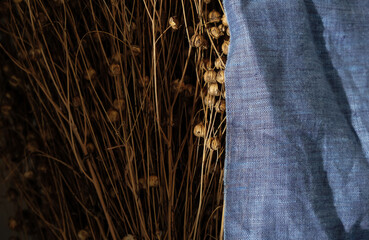 Flax pod seeds on a blue linen canvas. Copy space. Sunlight. Dark photo. 