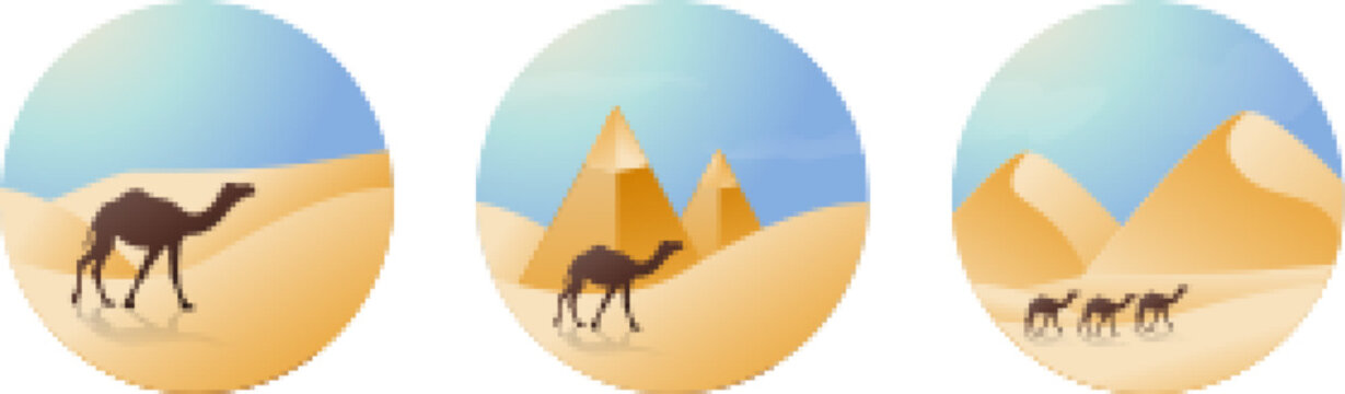 Arabian Desert Camel Pyramid Vector Illustration Background