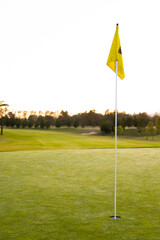 Obraz premium Yellow golf flag in hole amidst grassy landscape against trees and clear sky during sunset