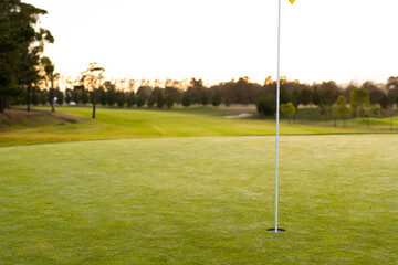 Obraz premium Flagstick in hole amidst grassy landscape against trees and clear sky during sunset, copy space