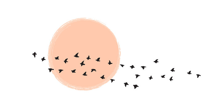 Birds Group Flying Against the Sun or Moon