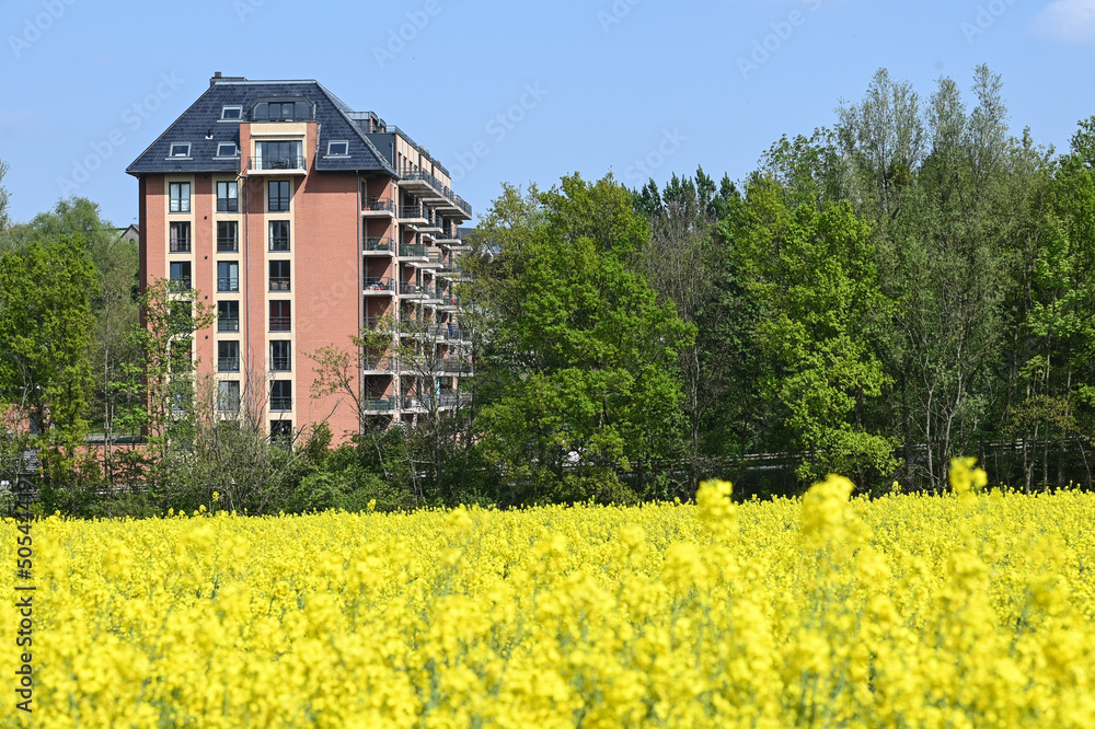 Poster environnement ecologie bio colza agriculture culture jaune immobilier campagne