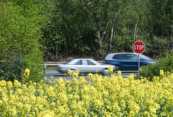 route circulation panneau signalisation stop campagne agriculture colza vitesse