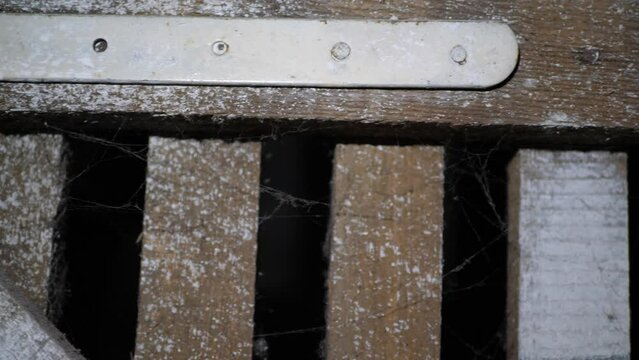 Close up of spiderweb on a wooden door