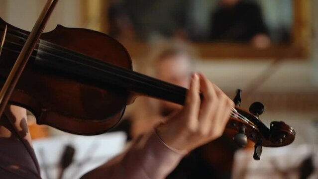 Young woman playing the violin