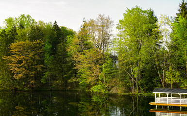 Wooded lake with green trees and gazebo on deck