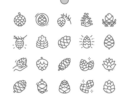 Pine cone. Forest tree. Natural botany. Pixel Perfect Vector Thin Line Icons. Simple Minimal Pictogram