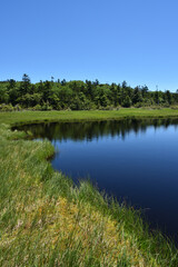 Fototapeta na wymiar lots of lakes in wetland at high altitude