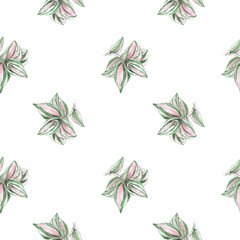 seamless pattern vegetarian background botanical illustration