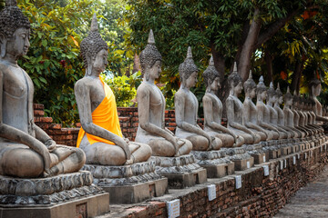 Vista en perspectiva de muchos budas, en Yai Chai Mongkhol. Templo antiguo en ruinas en Ayutthaya, Tailandia