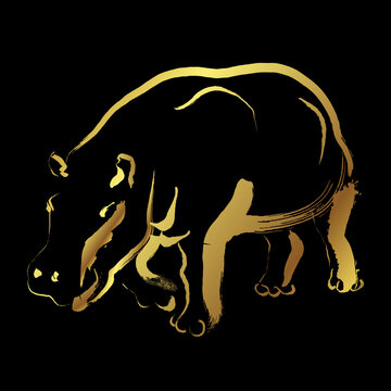 Hippopotamus golden brush stroke painting on black