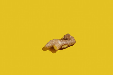 An immune system booster, a big piece of a ginger root on a bright yellow background in hard light