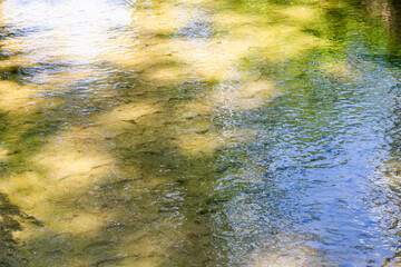 sun glare on the wavy surface of the water against the background of the sandy bottom. Texture of...
