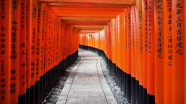 Empty Fushimi Inari full of torii gates in slowmotion Kyoto, Japan. Fushimi Inari Taisha shrine with no tourists. High quality slowmotion footage.