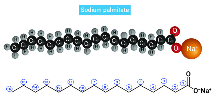 Structure of Sodium palmitate : Salt of palmitic acid (C15H31COOH)